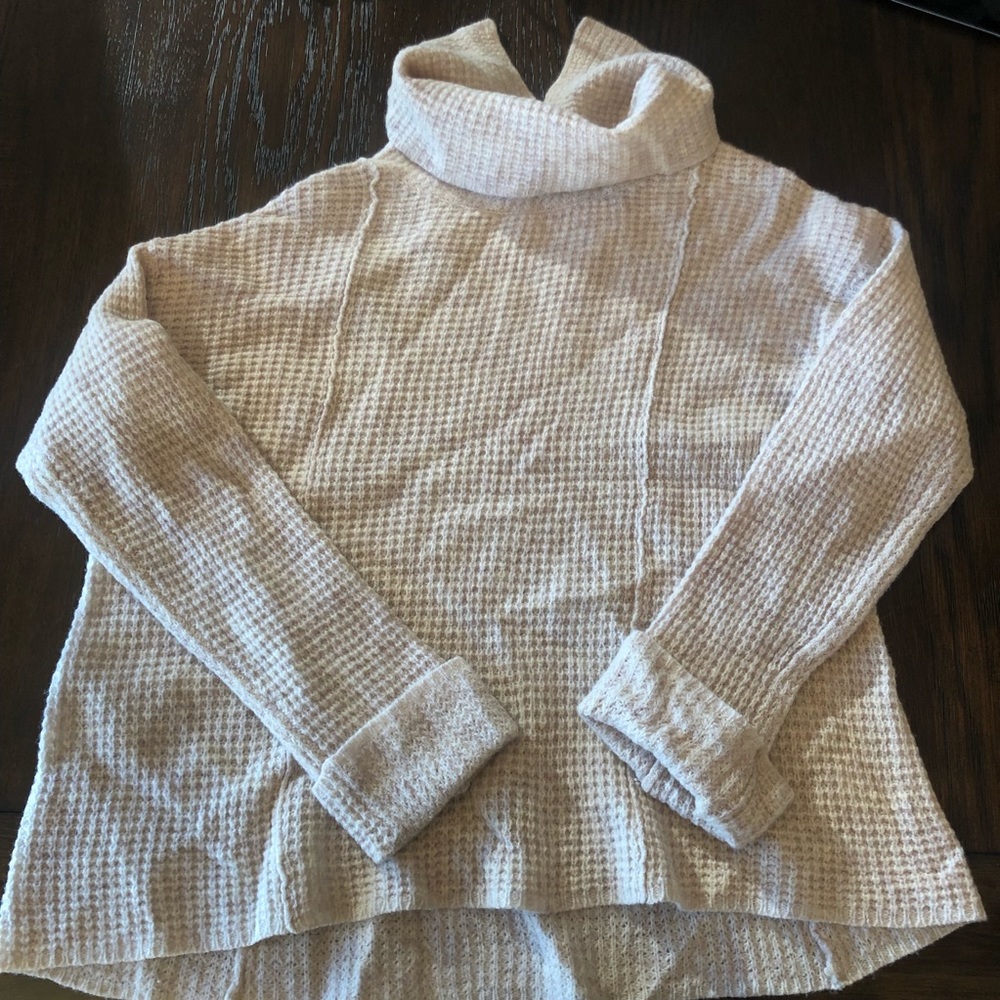 Free People Sweater / Turtleneck
